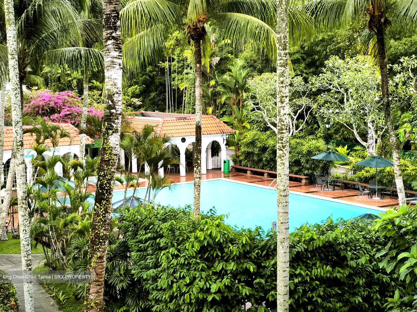 Villa Delle Rose (D10), Condominium #531581741
